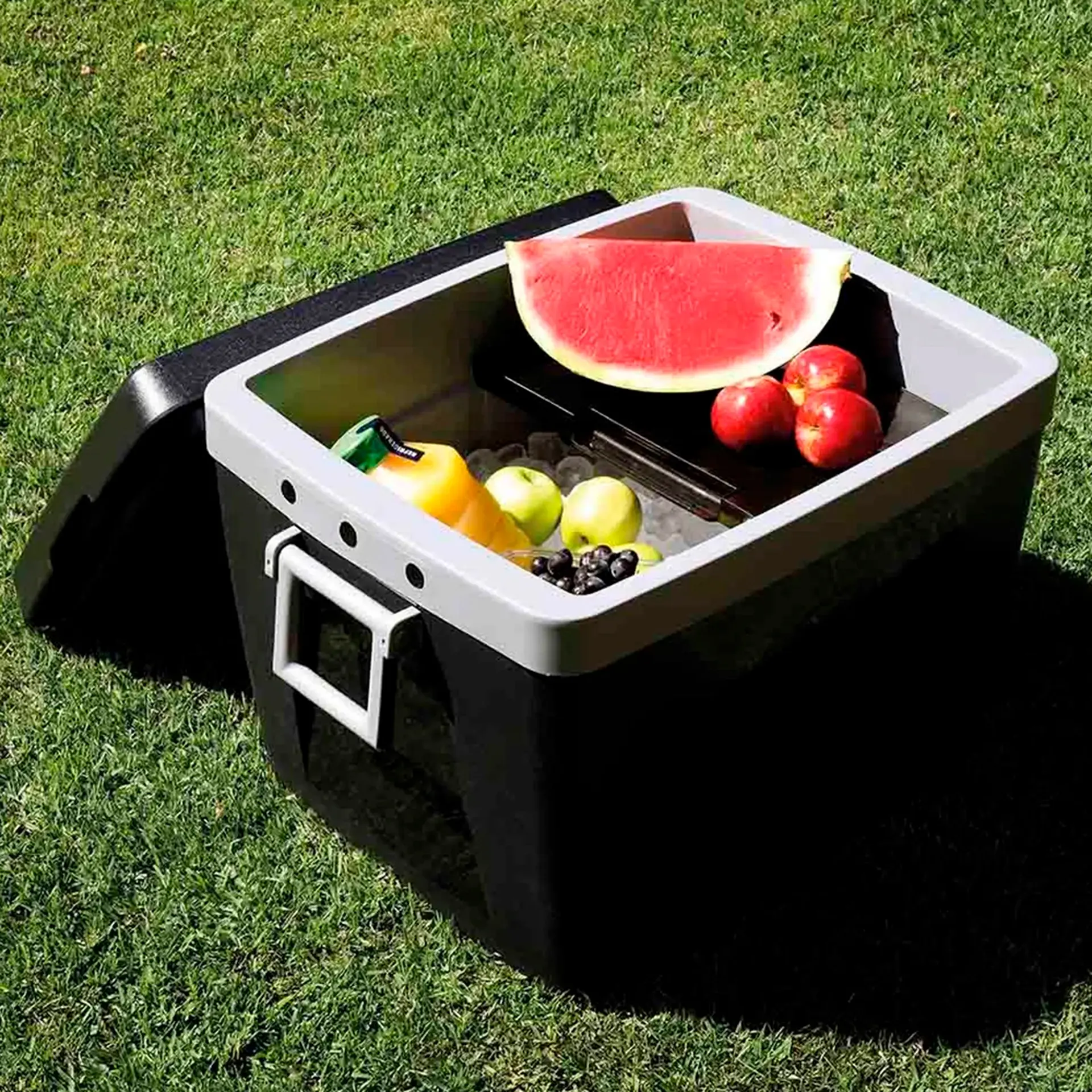 【mor】 Caixa Térmica Mor com Alças Laterais 75L