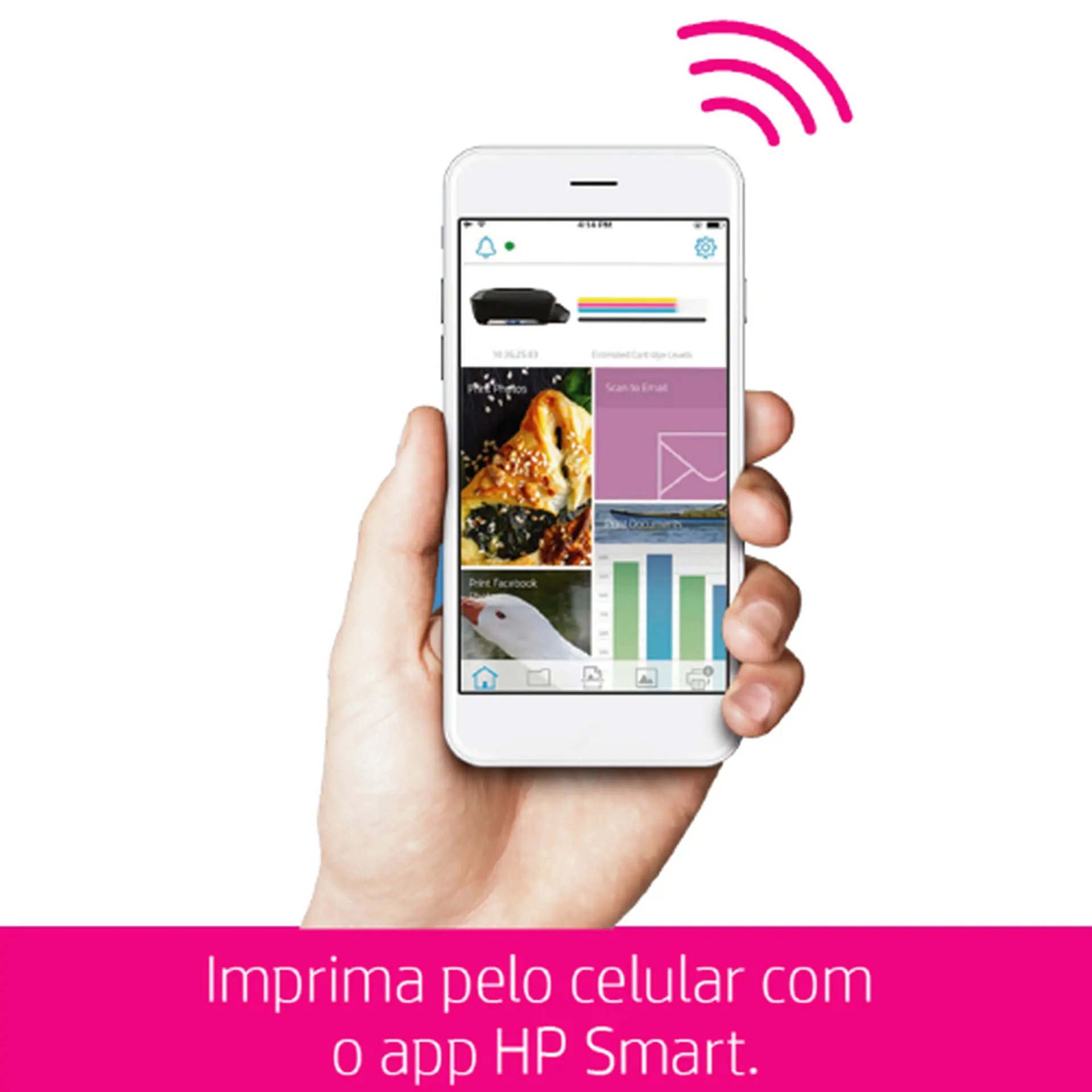 Imagem do Produto