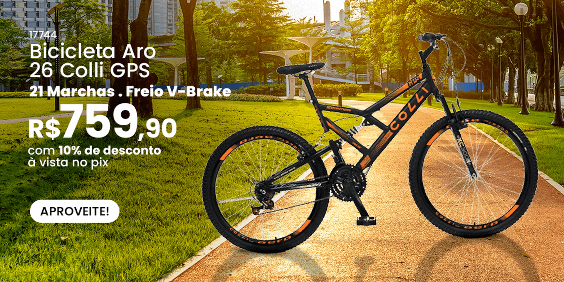 Bicicleta Colli
