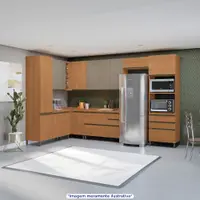 Imagem da variação